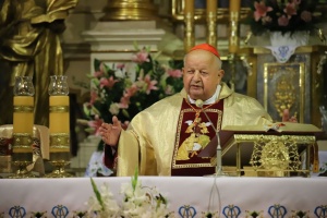 kardynał stanisław dziwisz
